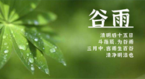 【二十四節(jié)氣灸】谷雨時(shí)節(jié)，用艾為您的健康加上一道保險(xiǎn)！