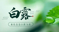 【二十四節(jié)氣灸】白露涼爽，養(yǎng)心肝脾胃、滋陰潤(rùn)肺是關(guān)鍵！