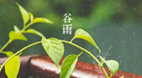 【二十四節(jié)氣灸】谷雨節(jié)氣脾土濕，艾灸降濕濁，脾旺不受邪！